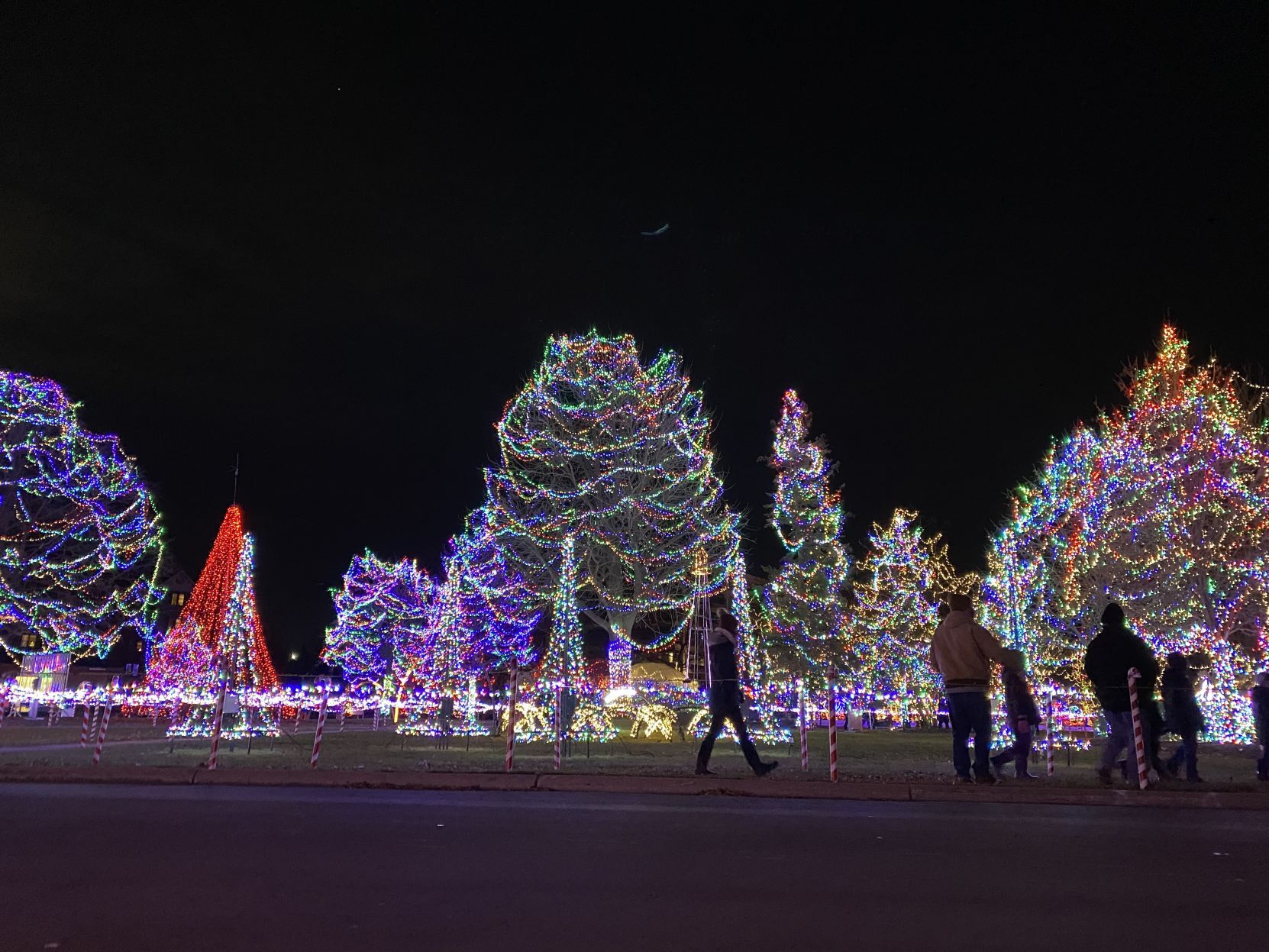 Rotary Lights 2020